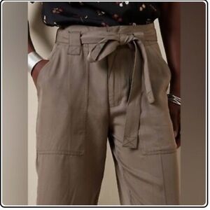 Banana Republic Taupe Tie-Waist Tencil Joggers size 14